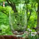 6 old glasses with engraved baccarat crystal wine stems