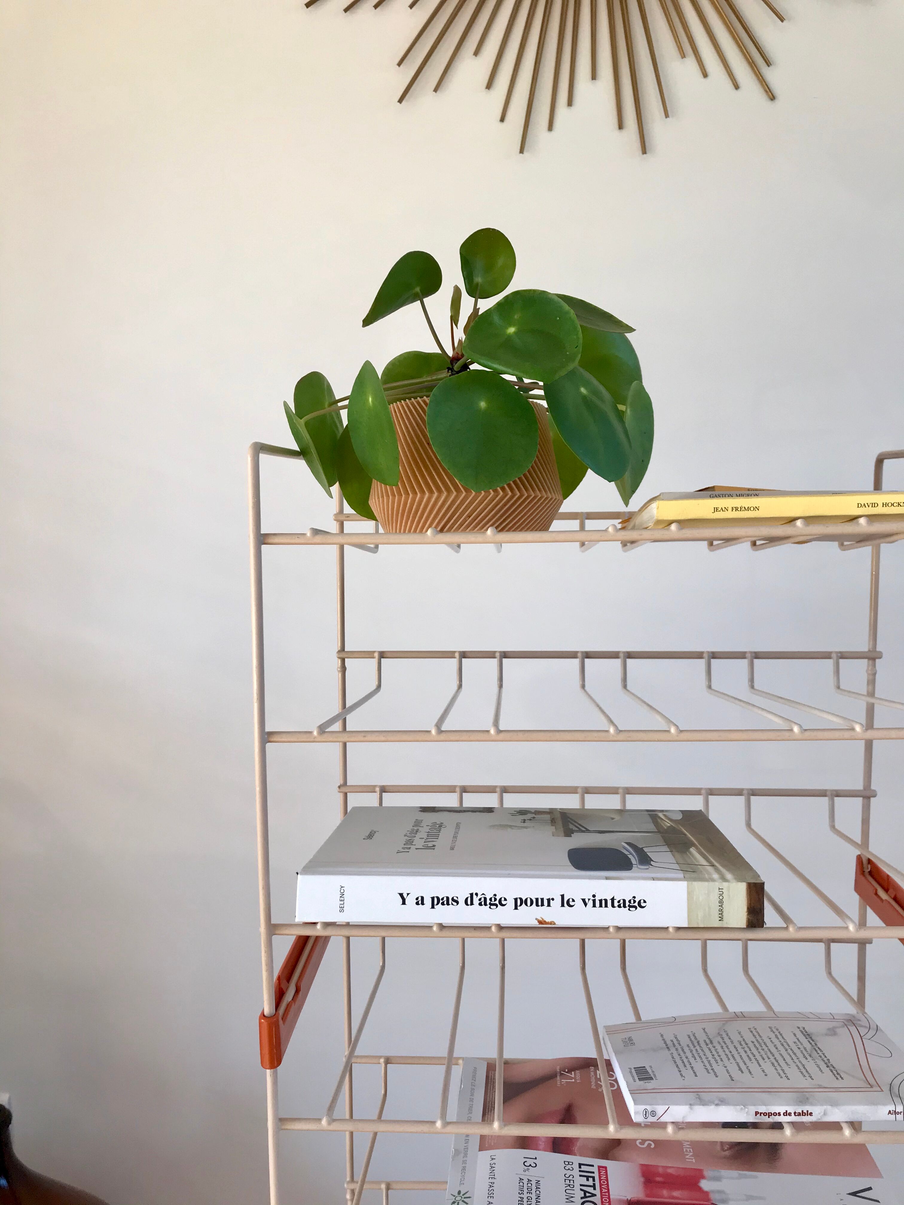 White and orange industrial shelf brand "caddie" 50s