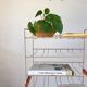 White and orange industrial shelf brand "caddie" 50s