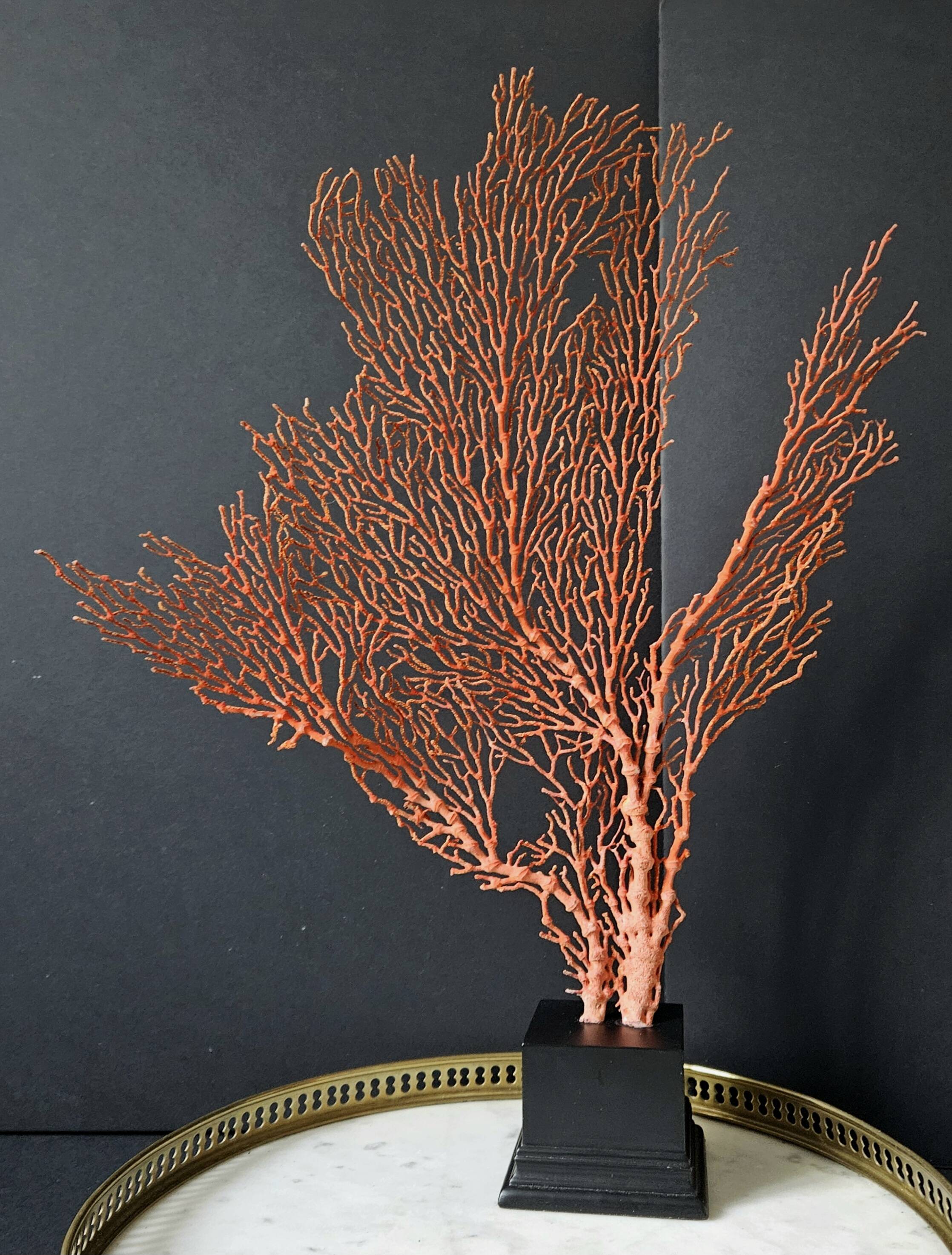 Gorgone Rouge XXL Wooden Base. H: 47 cm | Decorative Object l PlaceOdd