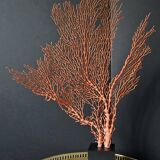 Gorgone Rouge XXL Wooden Base. H: 47 cm | Decorative Object l PlaceOdd