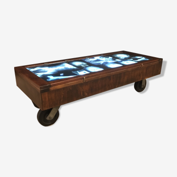 Skeleton X-ray coffee table, curiosity cabinet