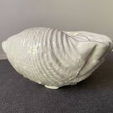 Ceramic shell emptier