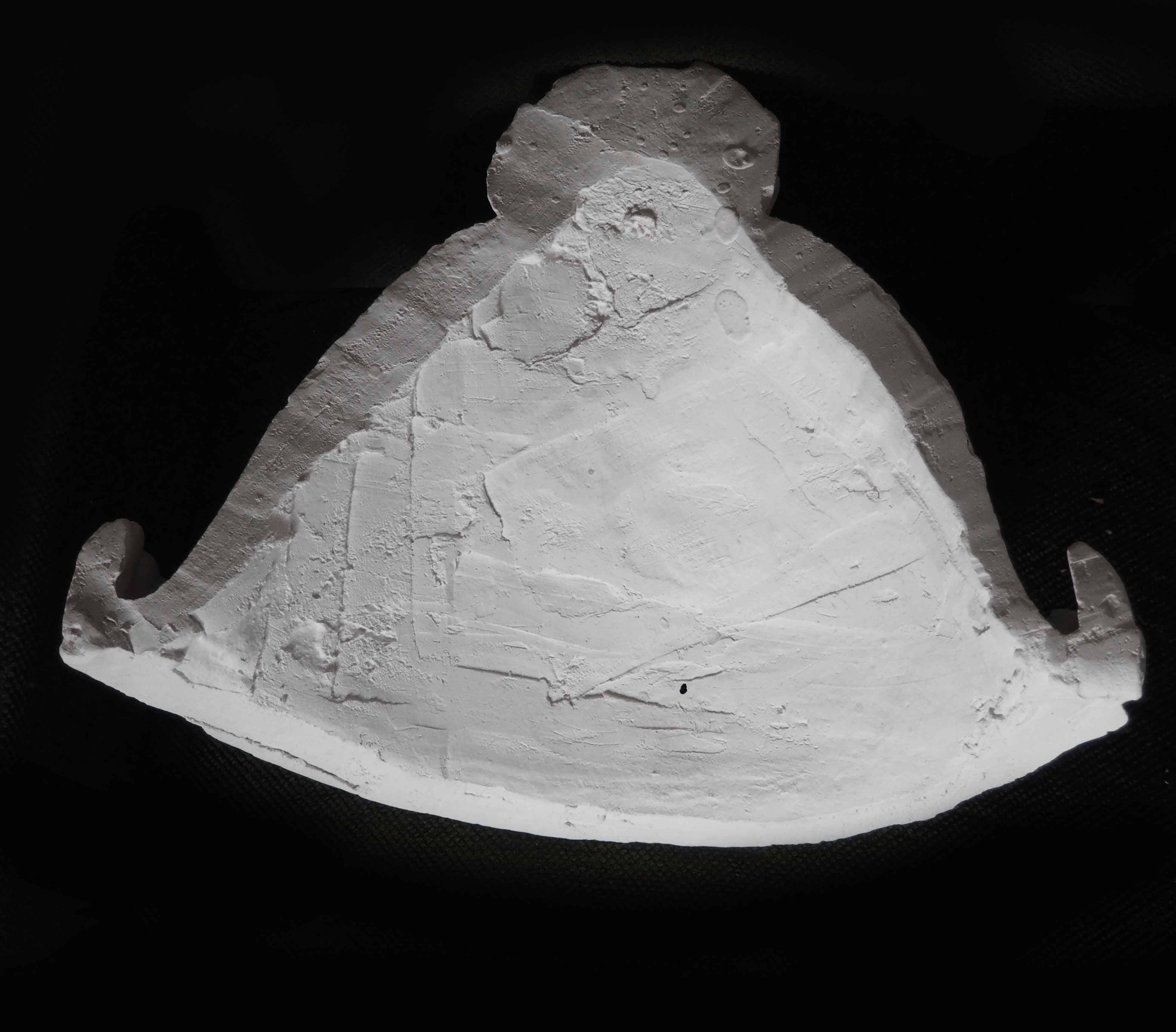 Large foliage wall plaster