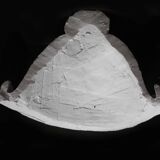 Large foliage wall plaster