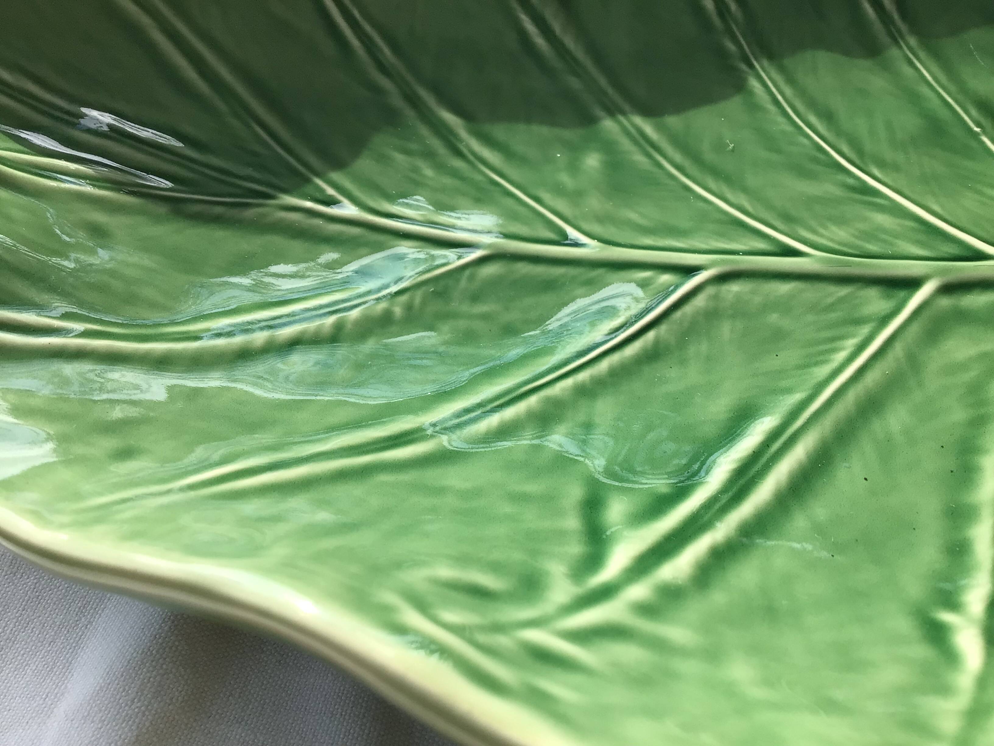 Exotic leaf fruit bowl