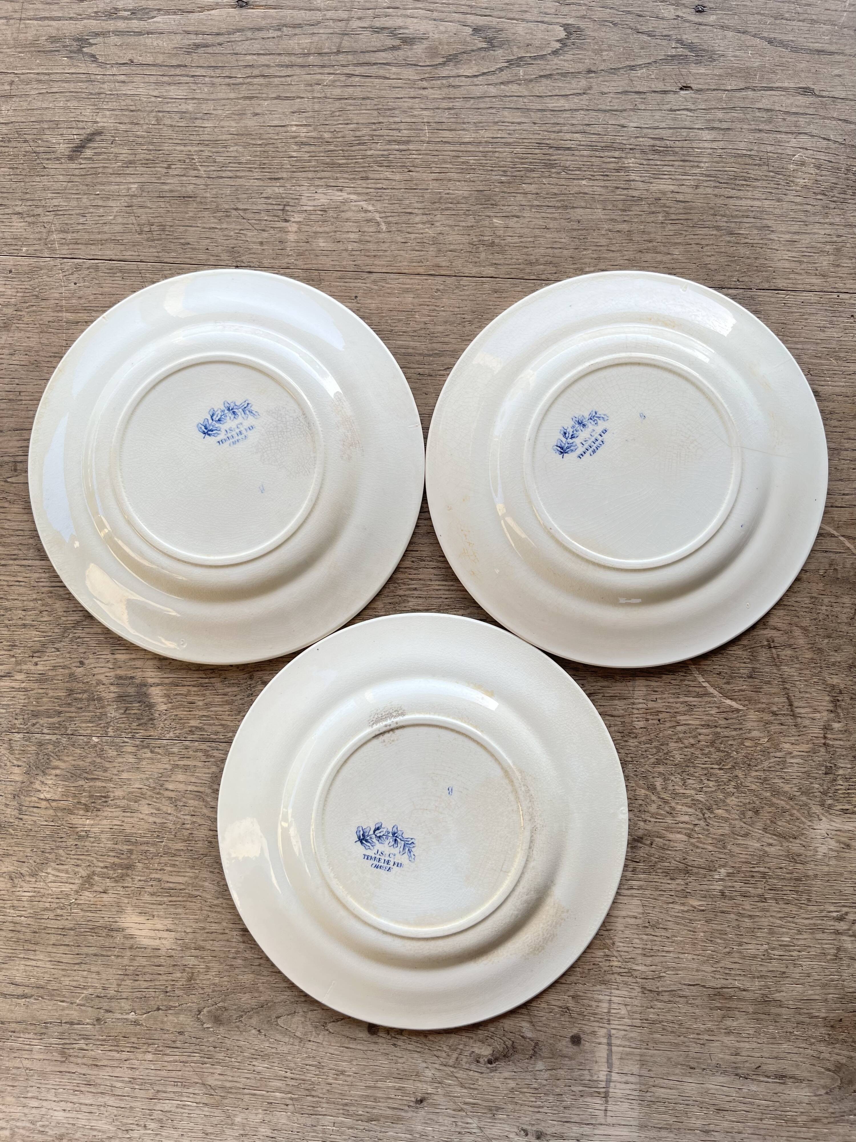 Set number 2 of 3 plates Terre de fer Clairefontaine