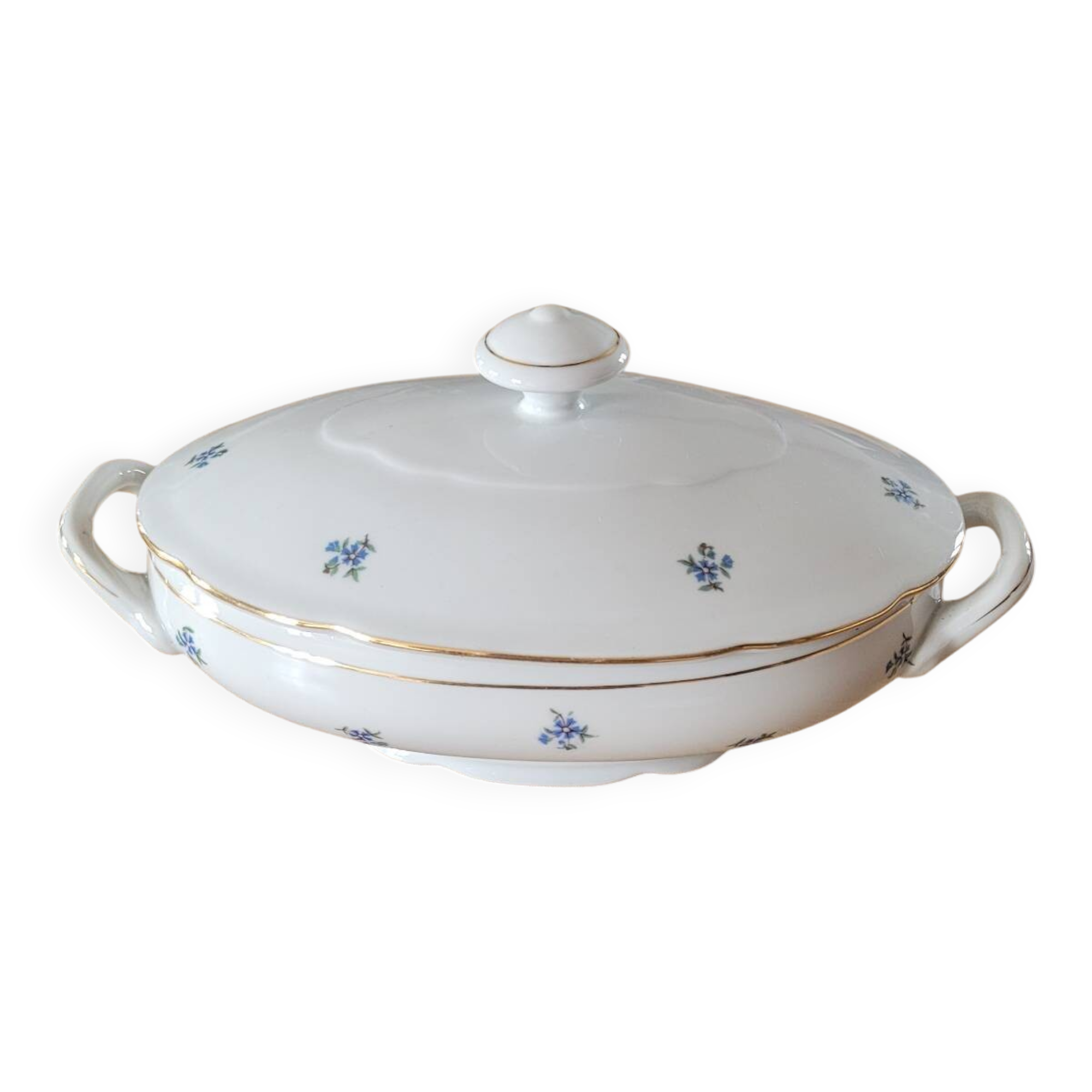 Vintage porcelain vegetable dish/soup tureen