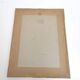 Vintage bird's nest lithograph by J. Gould and H-C Richter golden frame