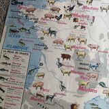 Old MDI school map: France: Secondary breeding and fishing / route