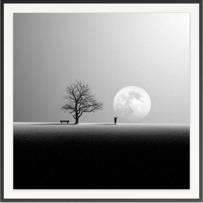 Nature photo