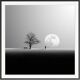 Nature photo