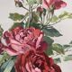 Old painting on paper depicting roses, framed.