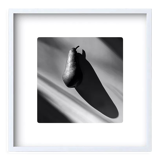 Limited edition art photo. Numbered, dated and signed by the photographer