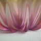Empty pocket in pink glass paste corolla vintage Germany
