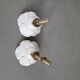 Paire de boutons de meubles en porcelaine