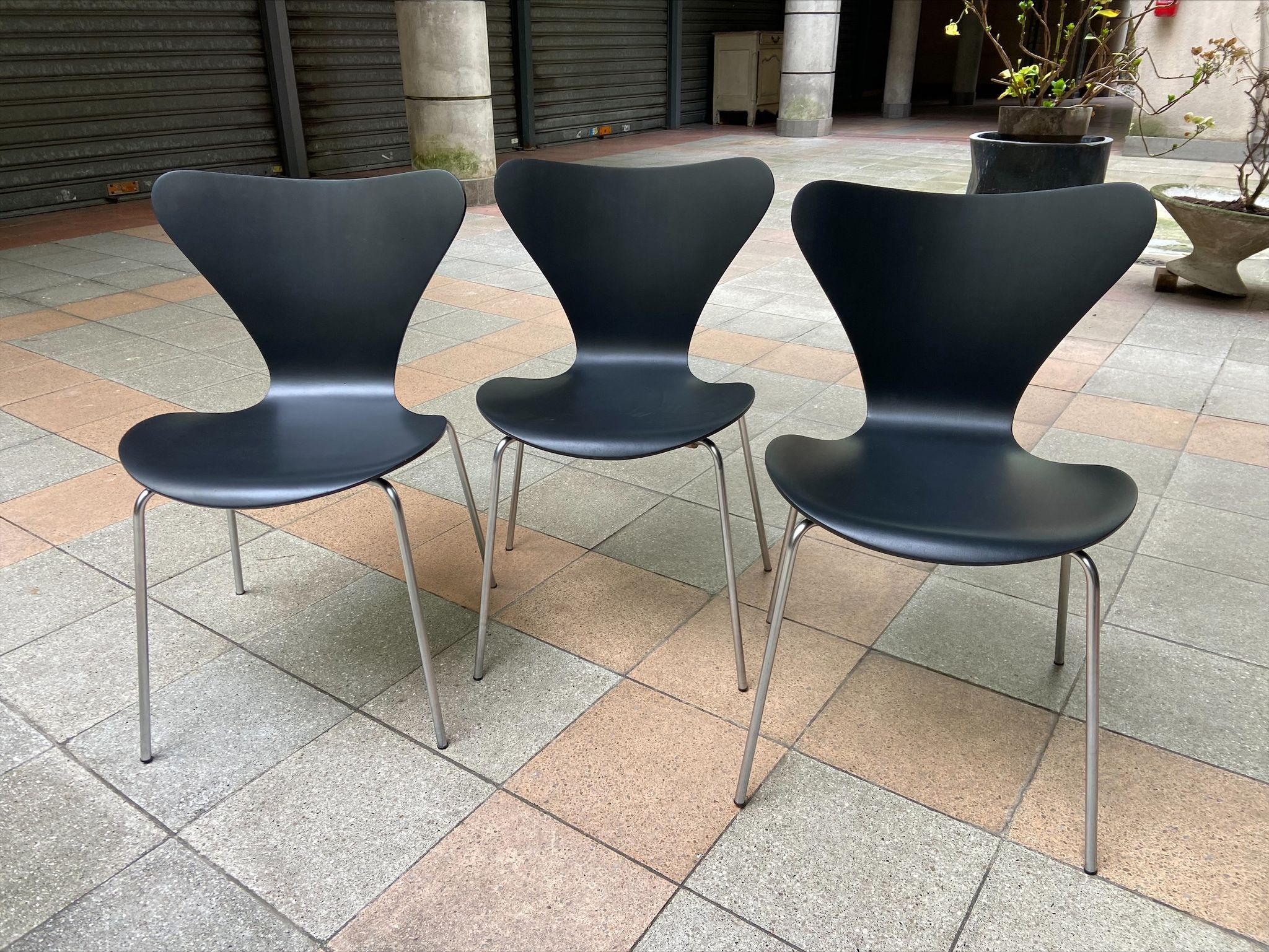 Set de 3 chaises modèle "3107" dites "série 7" d'Arne Jacobsen
