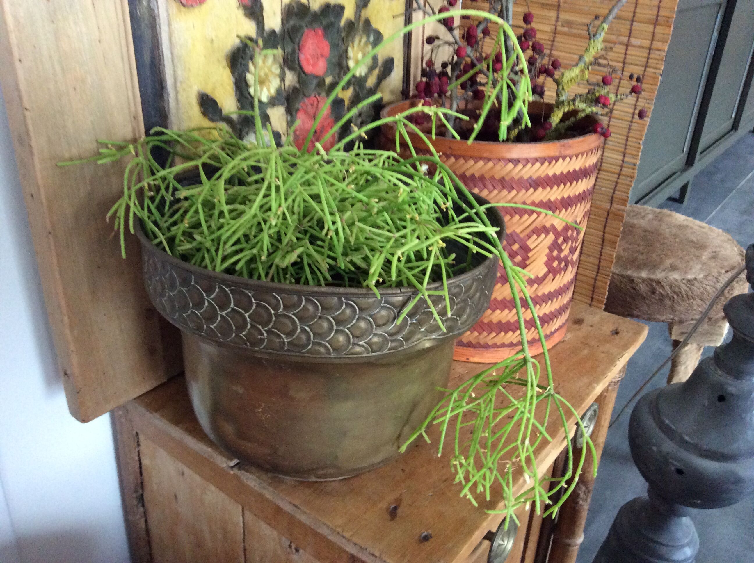 Cache pot en cuivre