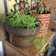 Cache pot en cuivre