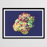 Still Life - Hortensia - Flower