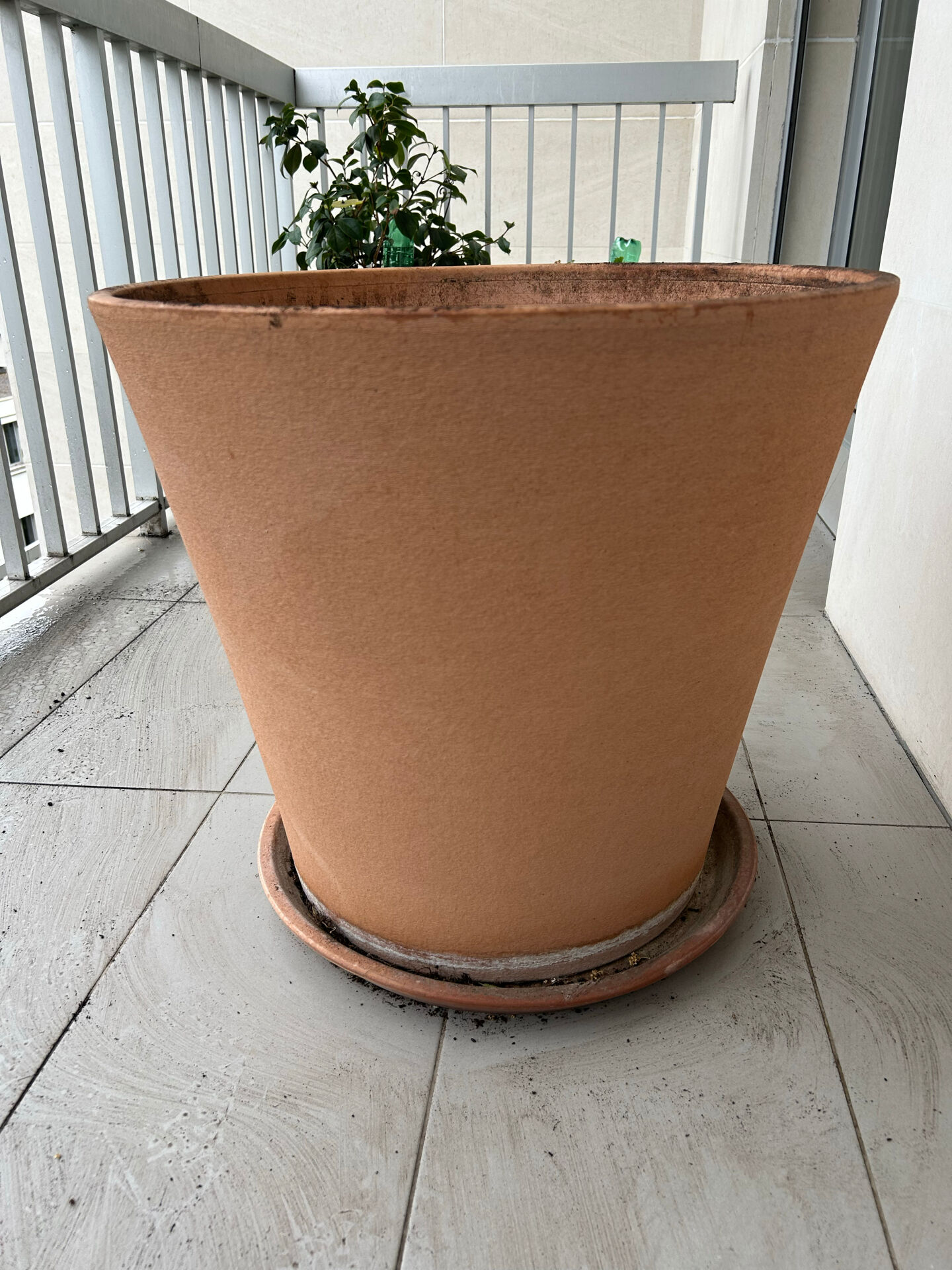 Large terracotta pot