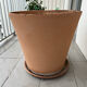 Large terracotta pot