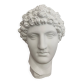 Tête grecque en plâtre blanc