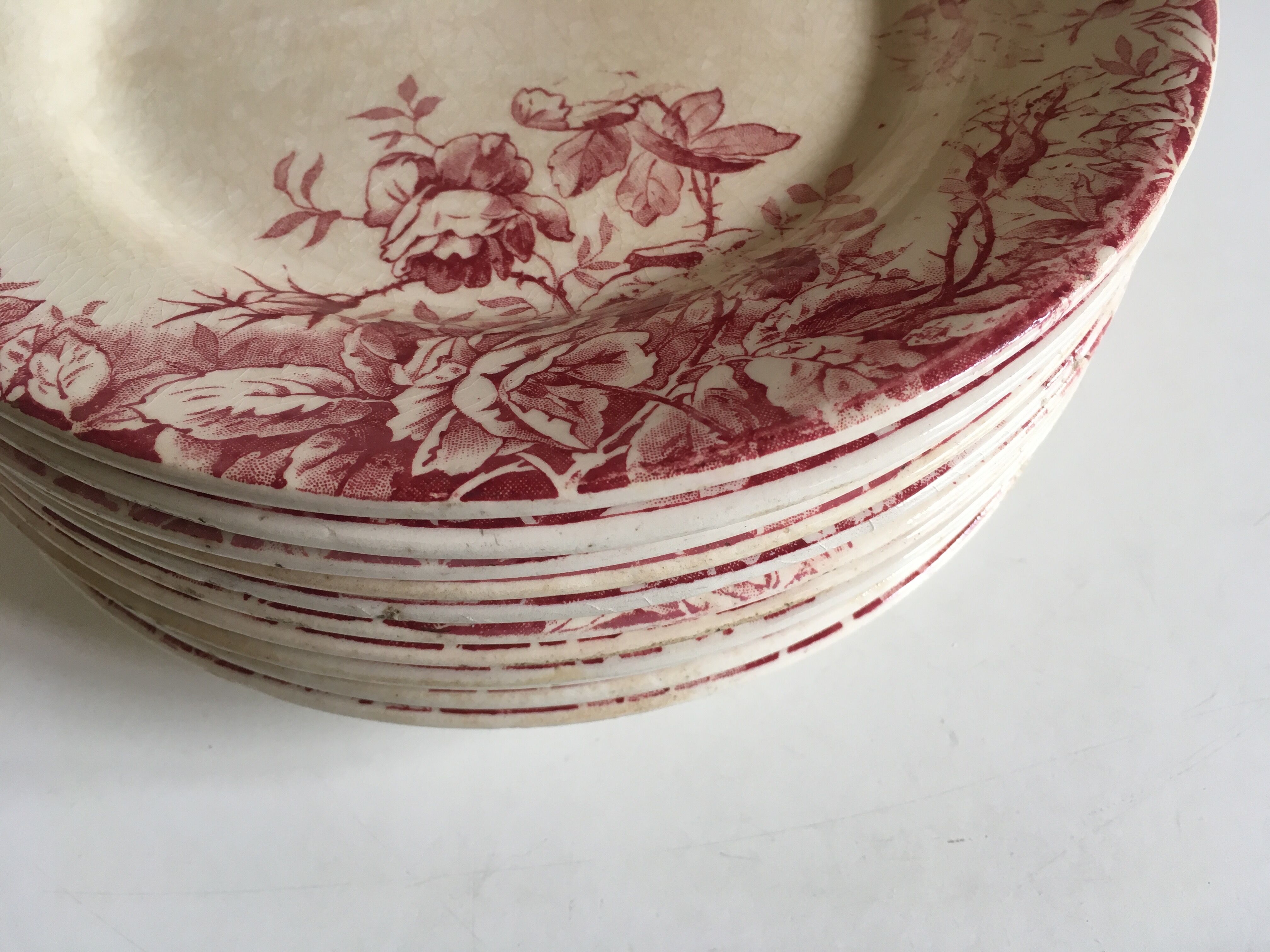 Series of 11 plates flat 19th in faience of Gien