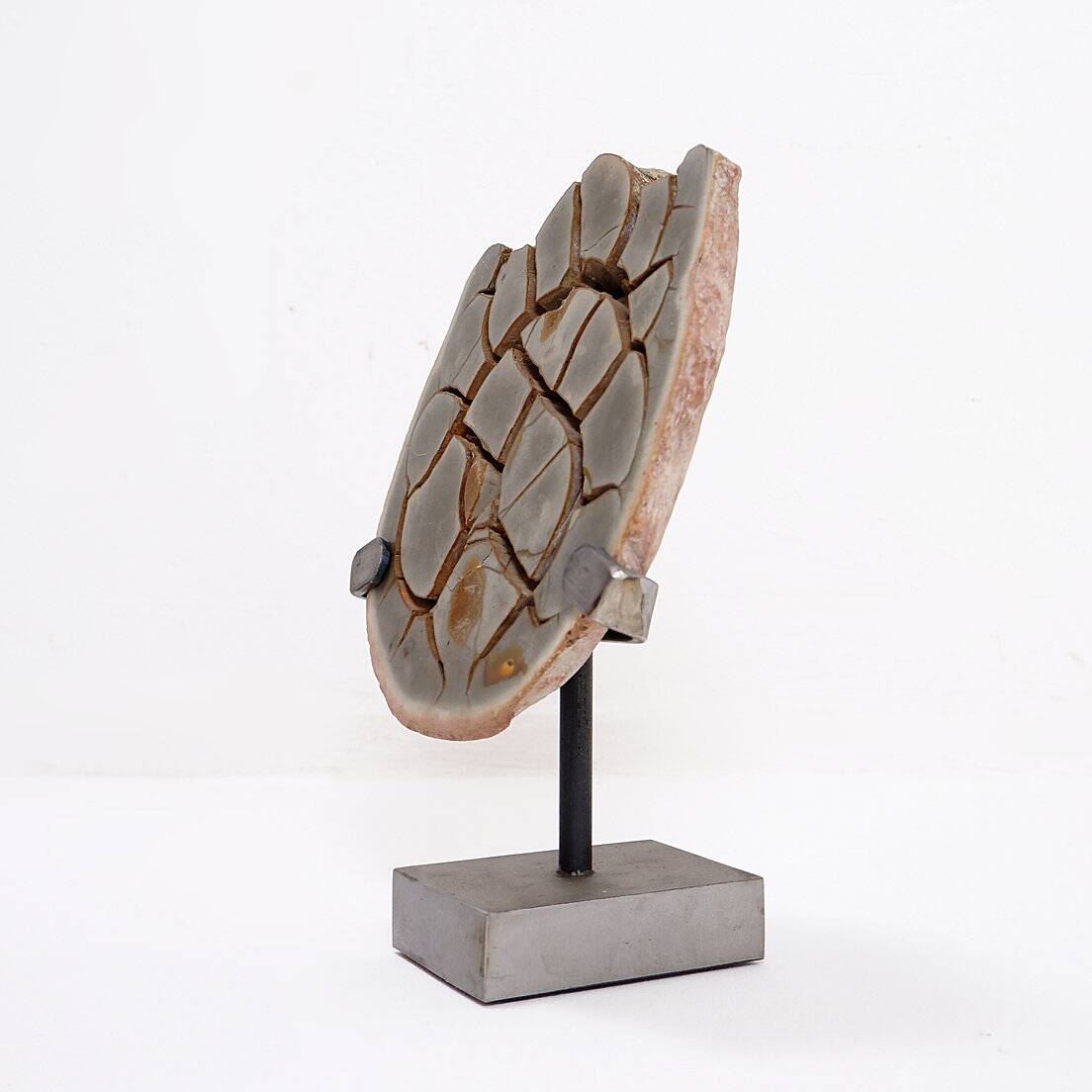 Custom Septarian Nodule on Base