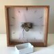 Large electric office clock vintage brass and wood Annees 60