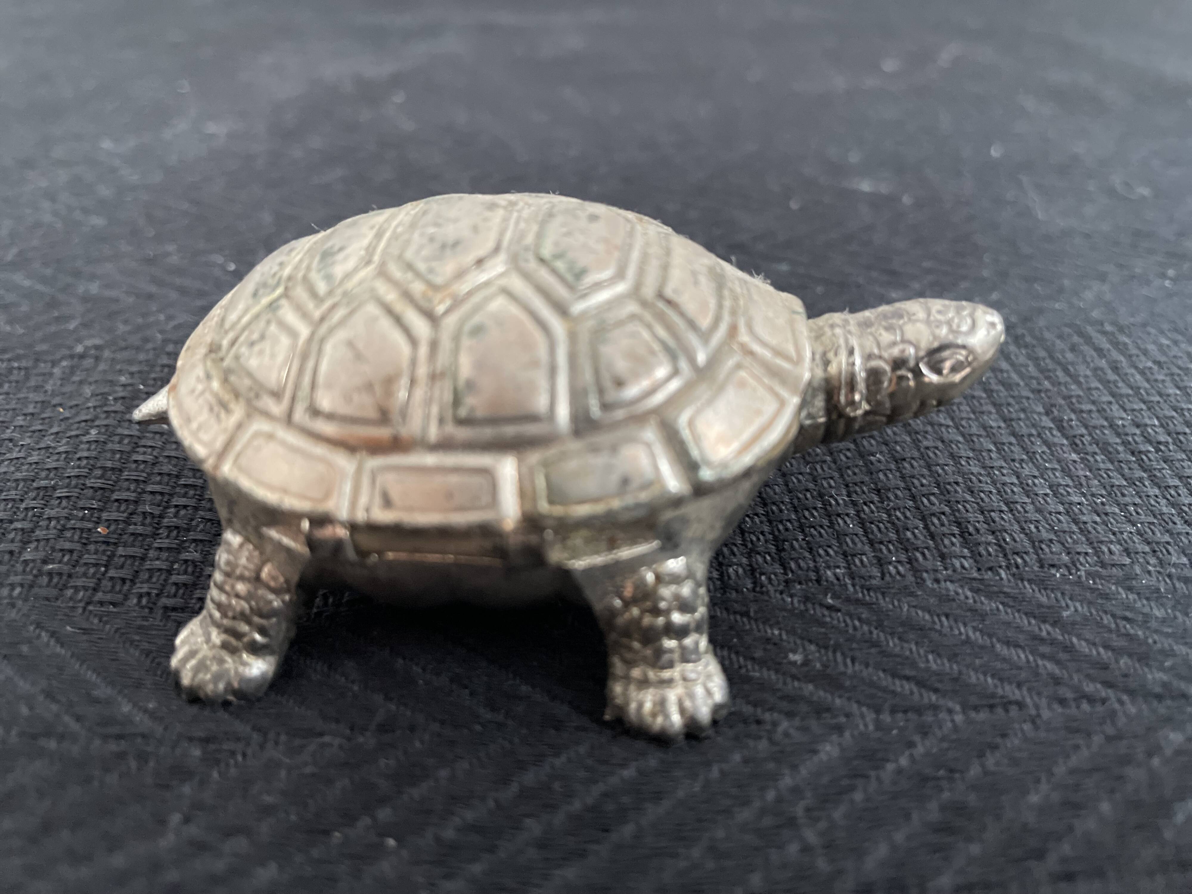 Ancient tortoise in silver metal