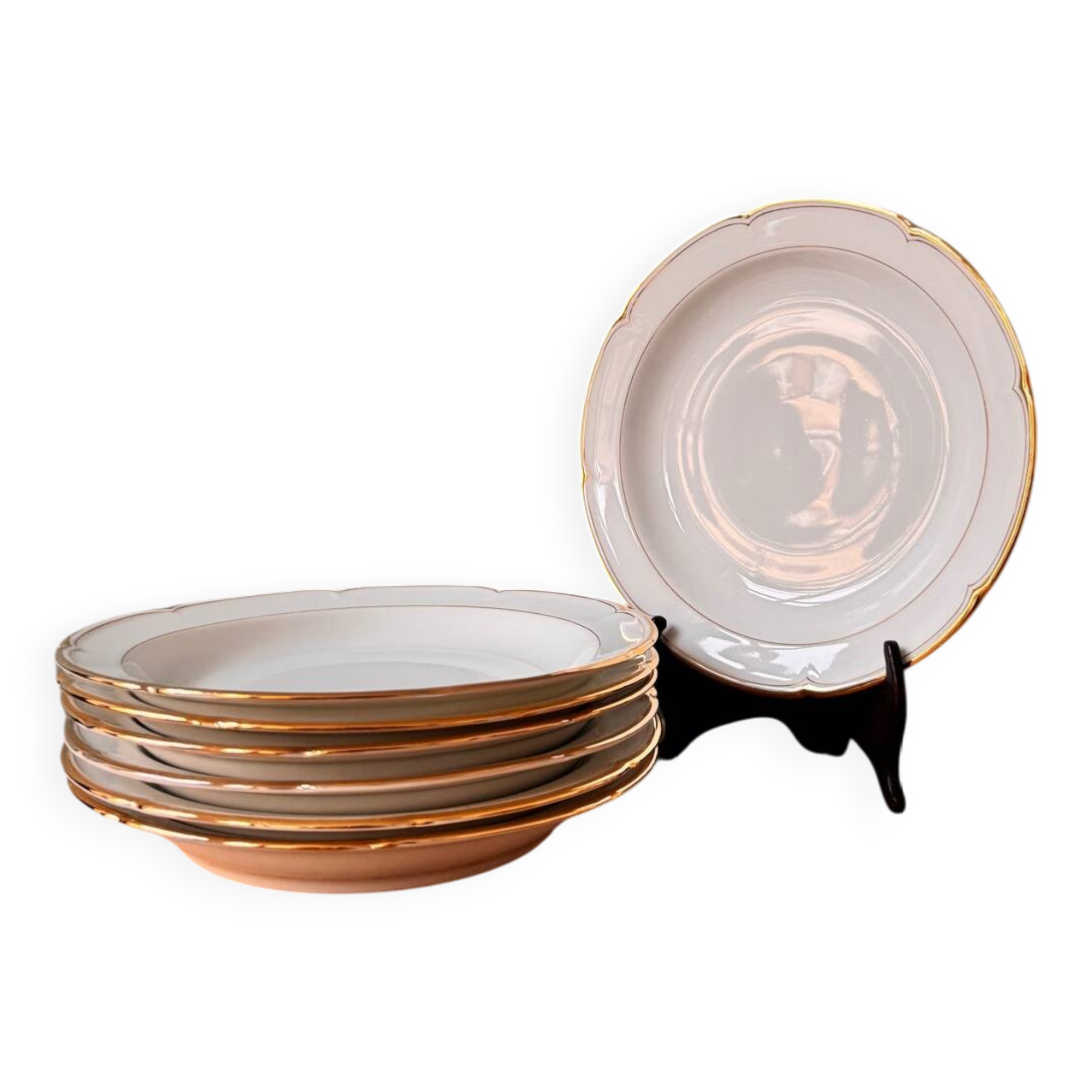 Set of 7 old Limoges porcelain plates