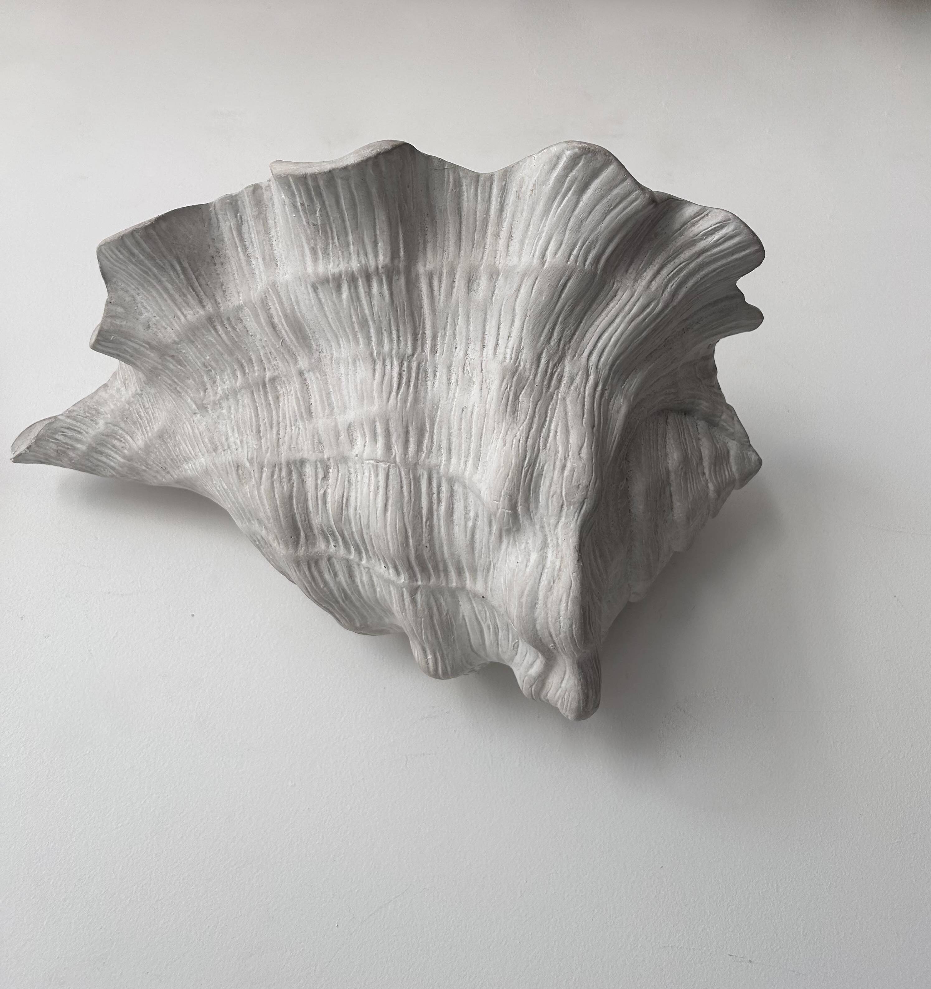 Pair of vintage shell wall lights, matte white plaster, France 1940