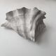 Pair of vintage shell wall lights, matte white plaster, France 1940