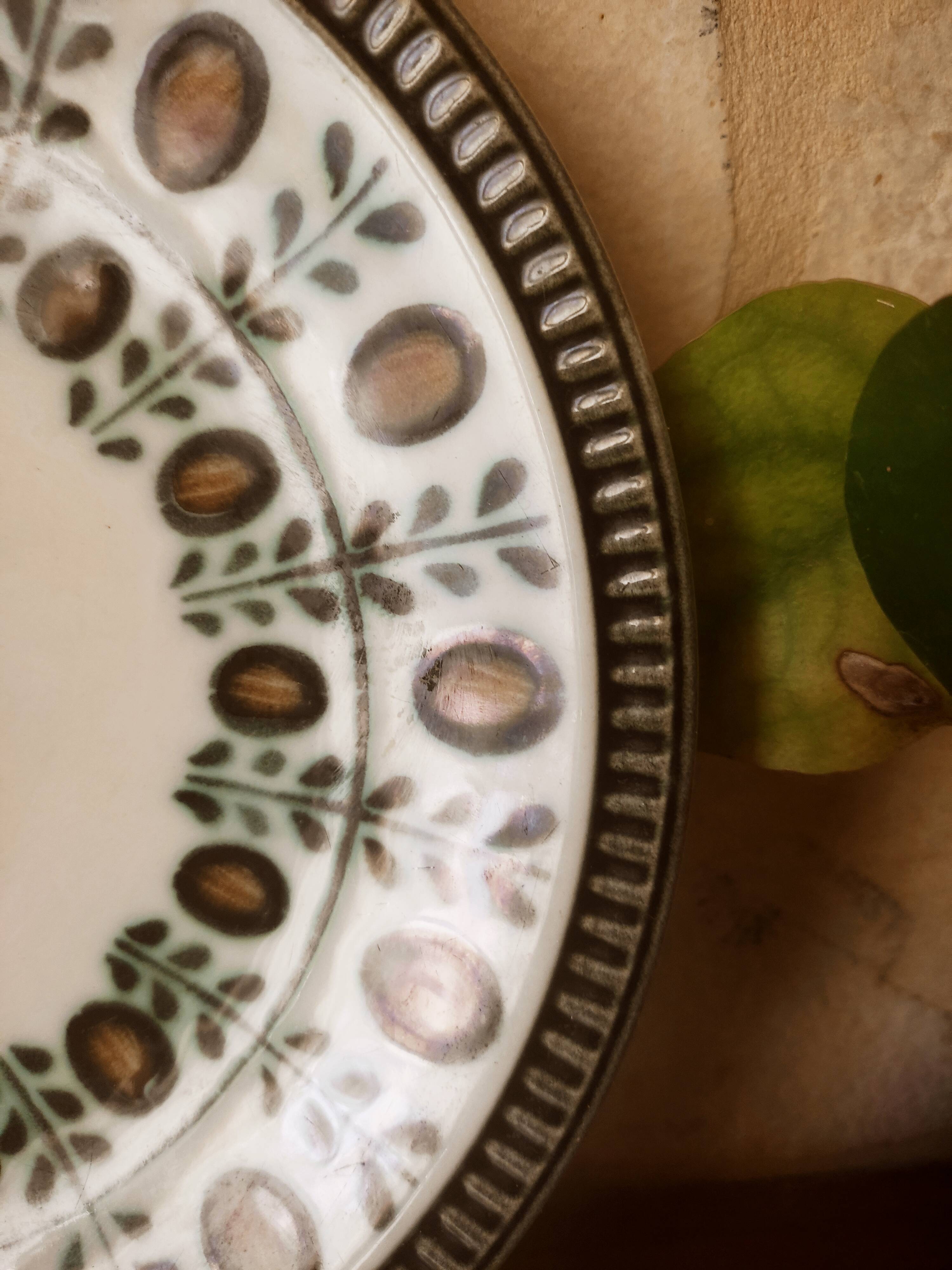 6 plates Boch nut model