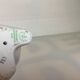 Oie blanche porcelaine hollohaza hungary