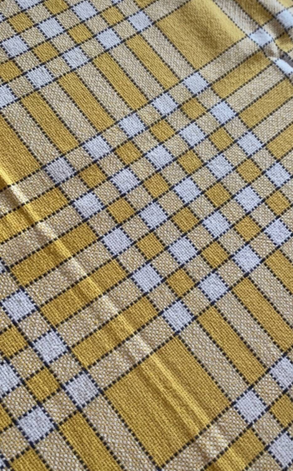 checkered tablecloth 1970
