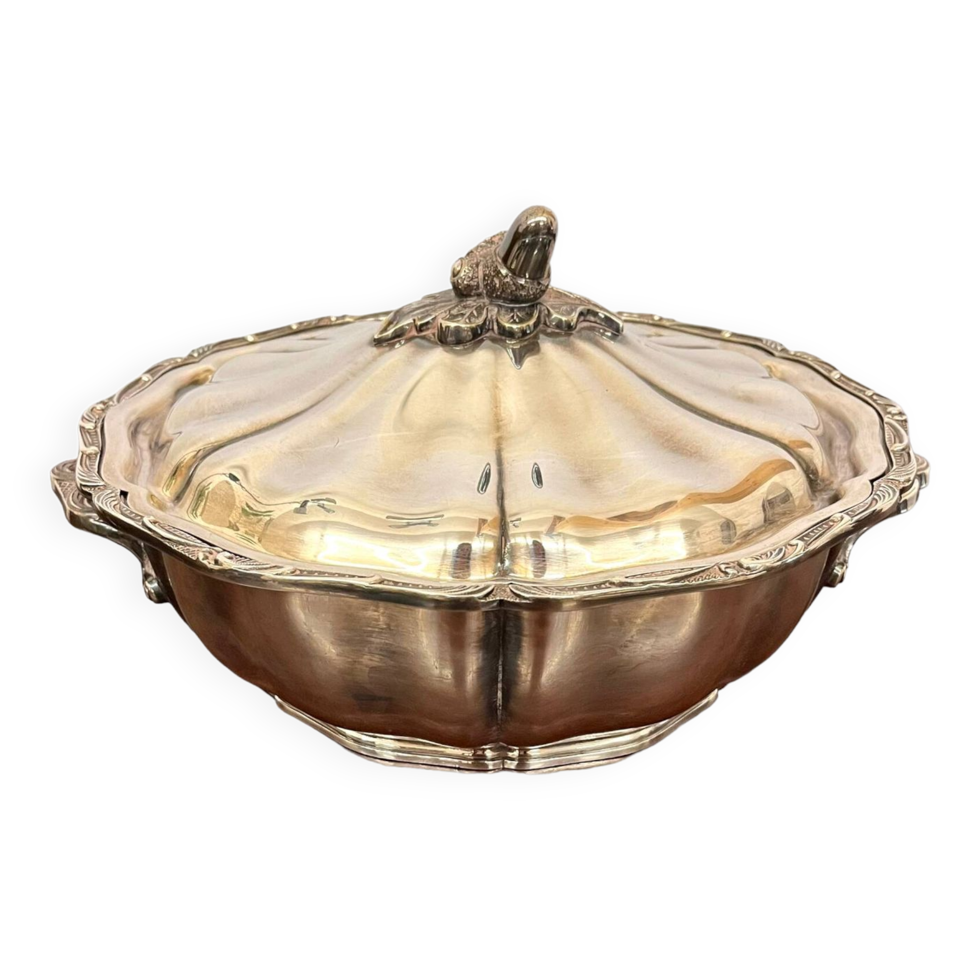 Vegetable silver metal acorn pattern