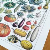 Poster about vegetables, based on a 1922 lithograph