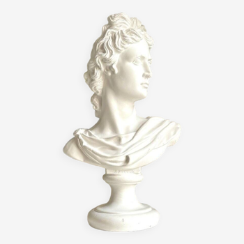 Bust of Apollo in white plaster