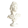 Buste d’Apollon en plâtre blanc