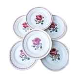 Set of 6 flat plates