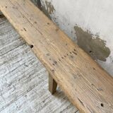 XL pine and oak bench 280 cm