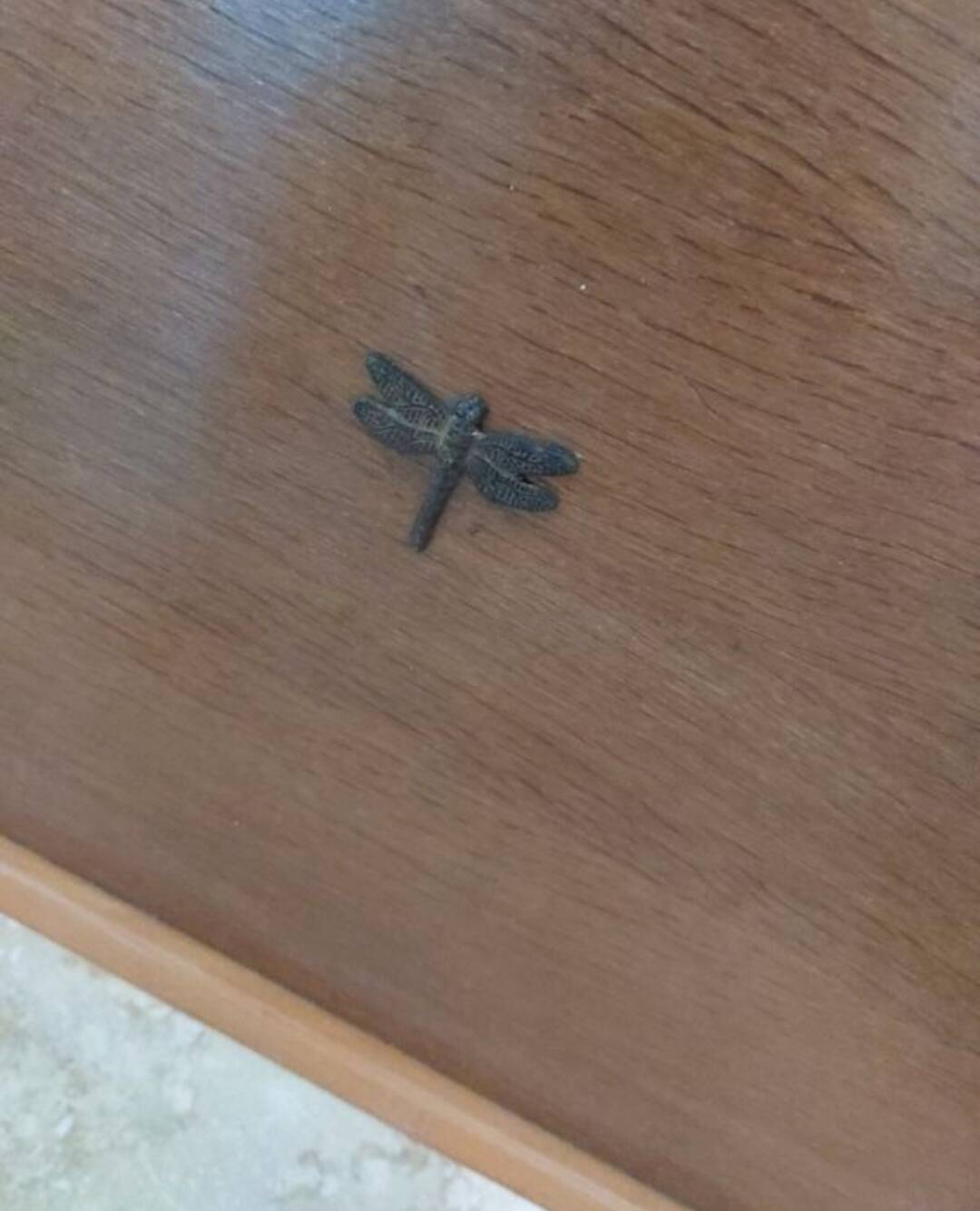 Scandinavian style baby cot