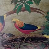 Bird frame
