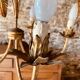 Palm type chandelier by Hans Kogl