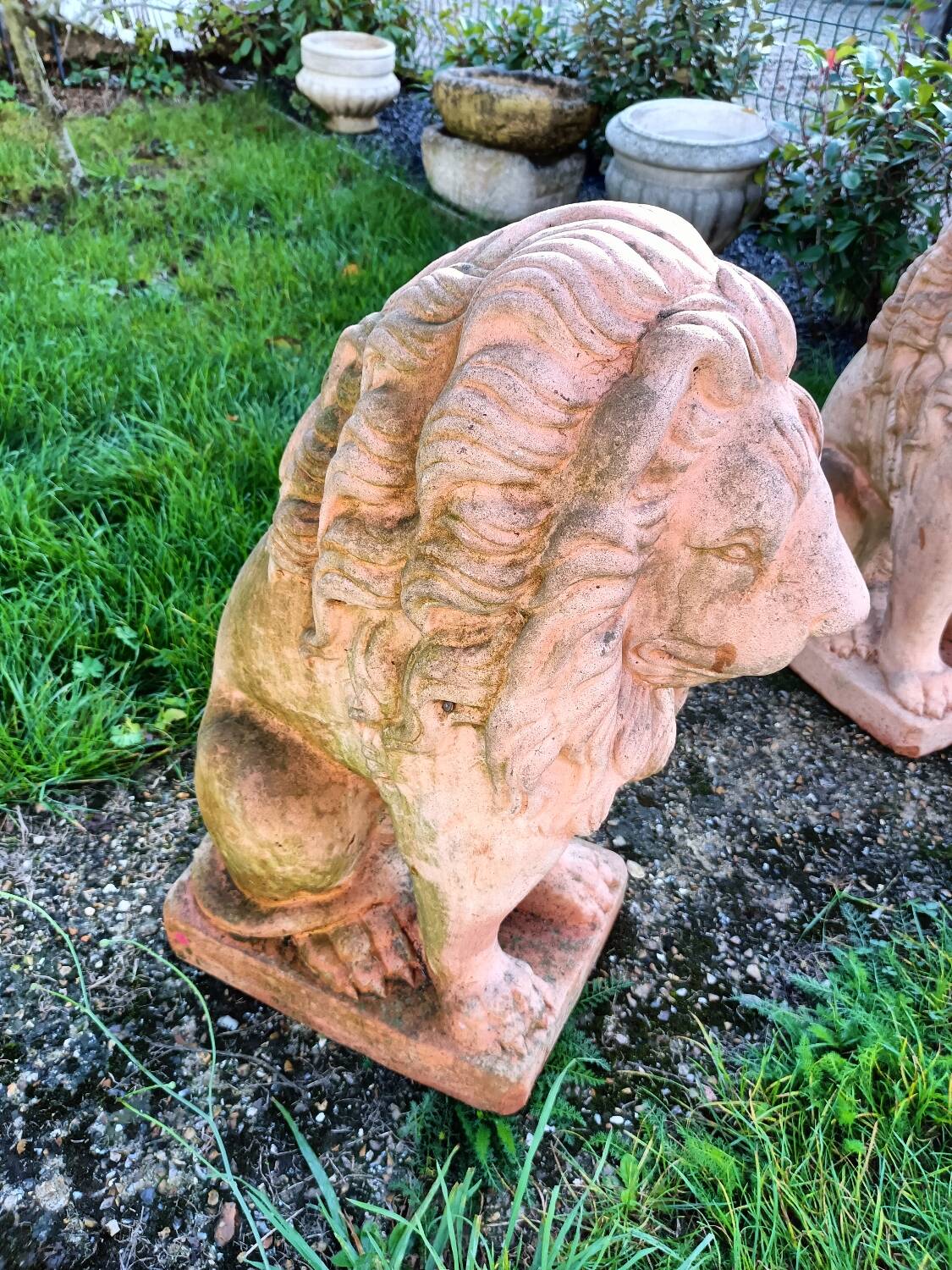 Pair of old terracotta garden lions