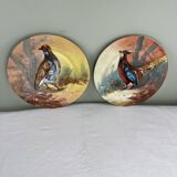 Set of decorative plates