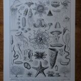 Original lithograph on oceanography