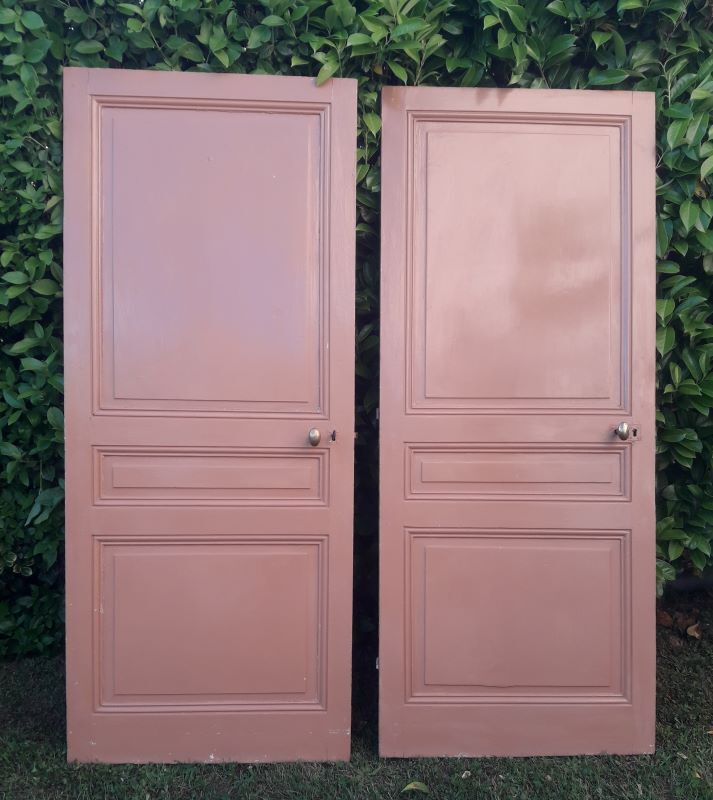 Communication door 199,2x82,8cm old molded